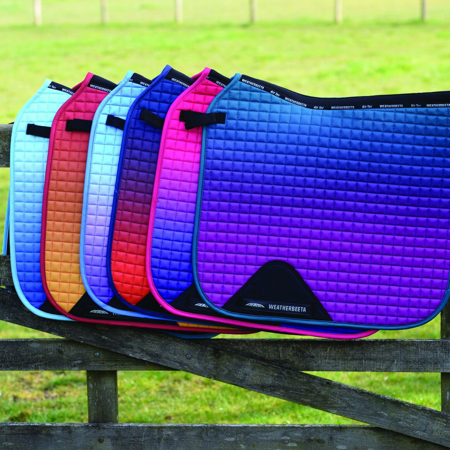 Need Saddle Pads For Your Horse- Follow These Tips - Allaboutgoodlife